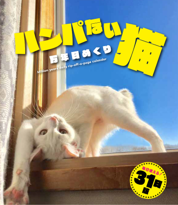 ハンパない猫 万年⽇めくり CALENDAR