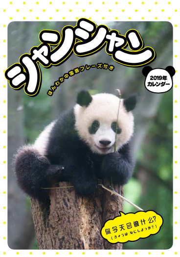 パンダのシャンシャン 万年⽇めくり CALENDAR